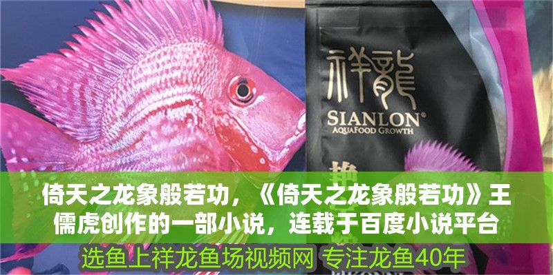 倚天之龍象般若功，《倚天之龍象般若功》王儒虎創作的一部小說，連載于百度小說平臺