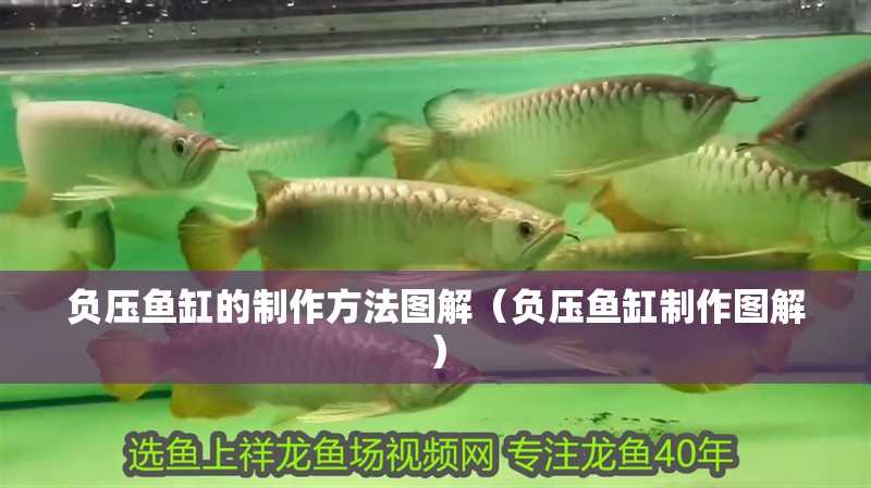 負壓魚缸的制作方法圖解（負壓魚缸制作圖解）