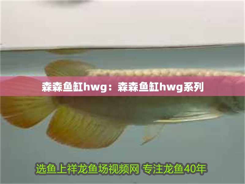 森森魚缸hwg：森森魚缸hwg系列