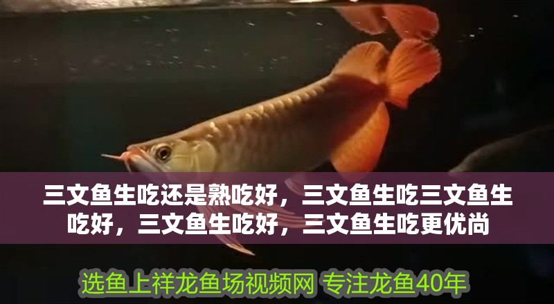 三文魚生吃還是熟吃好，三文魚生吃三文魚生吃好，三文魚生吃好，三文魚生吃更優(yōu)尚