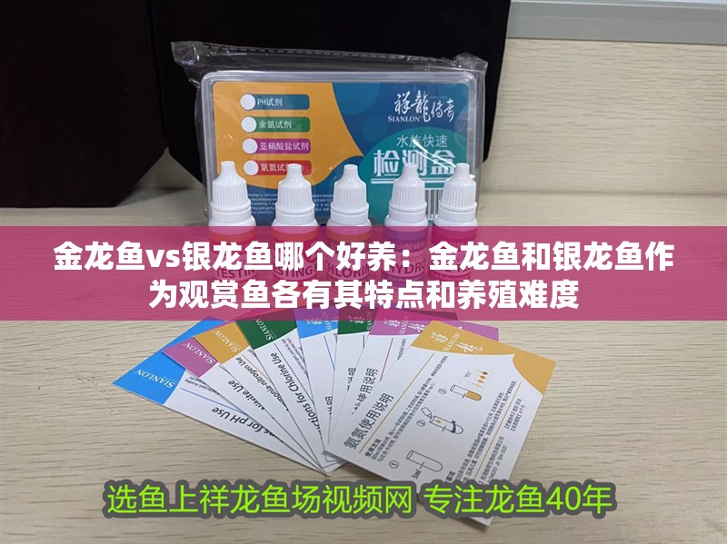 金龍魚vs銀龍魚哪個好養(yǎng)：金龍魚和銀龍魚作為觀賞魚各有其特點和養(yǎng)殖難度