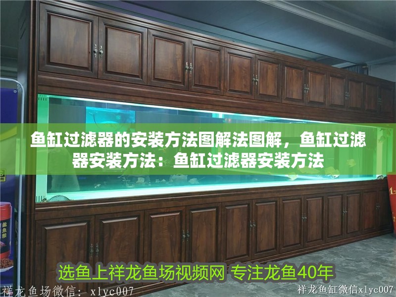 魚缸過(guò)濾器的安裝方法圖解法圖解，魚缸過(guò)濾器安裝方法：魚缸過(guò)濾器安裝方法
