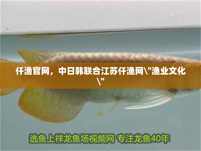 仟漁官網(wǎng)，中日韓聯(lián)合江蘇仟漁網(wǎng)\