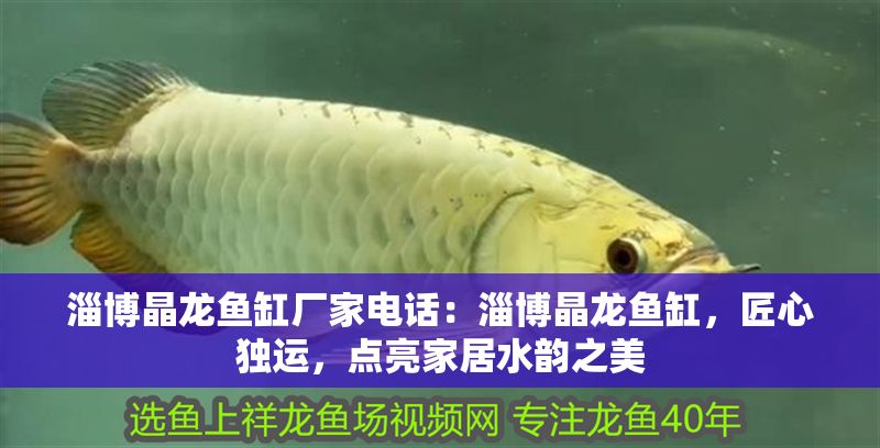 淄博晶龍魚缸廠家電話:淄博晶龍魚缸,匠心獨運,點亮家居水韻之美 龍魚百科 第1張 淄博晶龍魚缸廠家電話:淄博晶龍魚缸,匠心獨運,點亮家居水韻之美 淄博晶龍魚缸廠家電話:淄博晶龍魚缸,匠心獨運,點亮家居水韻之美 龍魚百科 第1張