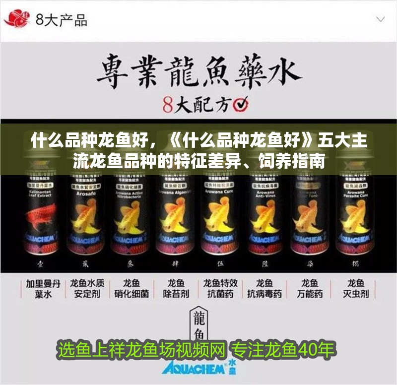 什么品種龍魚好，《什么品種龍魚好》五大主流龍魚品種的特征差異、飼養指南 什么品種龍魚好，《什么品種龍魚好》五大主流龍魚品種的特征差異、飼養指南 龍魚論壇