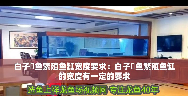 白子魟魚繁殖魚缸寬度要求：白子魟魚繁殖魚缸的寬度有一定的要求