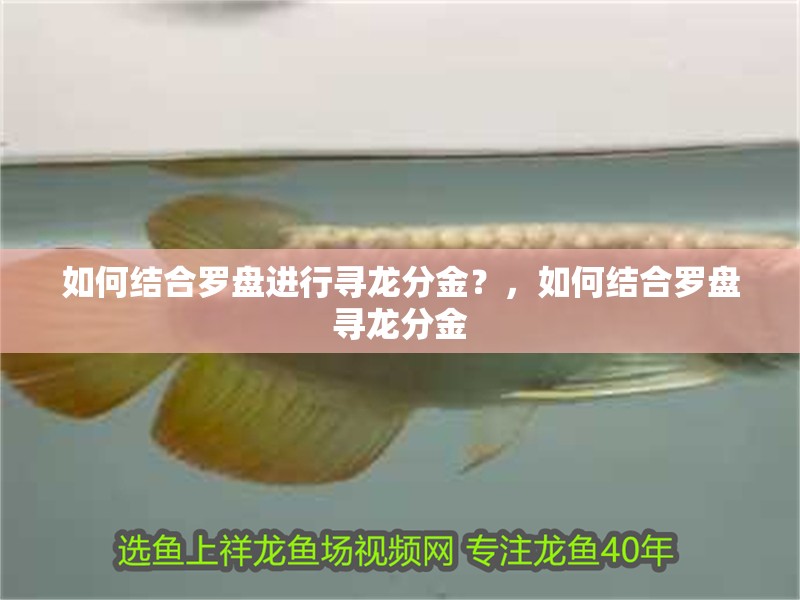 如何結合羅盤進行尋龍分金？，如何結合羅盤尋龍分金