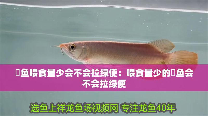 魟魚喂食量少會不會拉綠便：喂食量少的魟魚會不會拉綠便