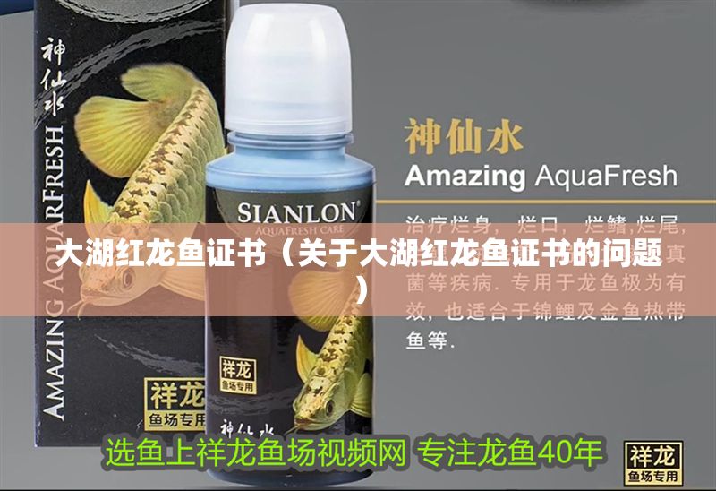 詳細(xì)閱讀:大湖紅龍魚(yú)證書(shū)(關(guān)于大湖紅龍魚(yú)證書(shū)的問(wèn)題) 大湖紅龍魚(yú)證書(shū)(關(guān)于大湖紅龍魚(yú)證書(shū)的問(wèn)題)