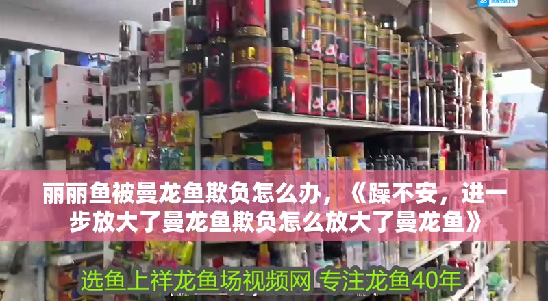 魚缸用增氧泵價格是多少:魚缸增氧機-xtrac增氧機-xtrac增氧機 麗麗魚被曼龍魚欺負怎么辦,《躁不安,進一步放大了曼龍魚欺負怎么放大了曼龍魚》 水族問答 麗麗魚被曼龍魚欺負怎么辦,《躁不安,進一步放大了曼龍魚欺負怎么放大了曼龍魚》 麗麗魚被曼龍魚欺負怎么辦,《躁不安,進一步放大了曼龍魚欺負怎么放大了曼龍魚》 水族問答