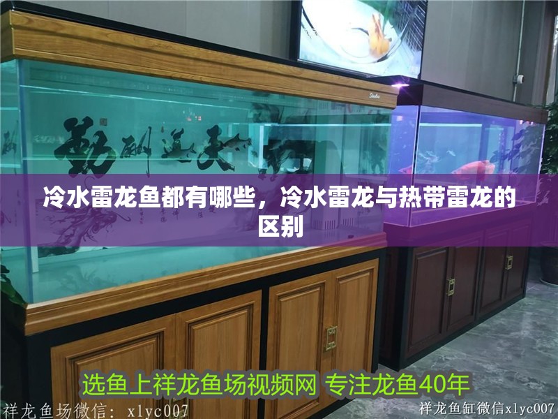 冷水雷龍魚(yú)都有哪些，冷水雷龍與熱帶雷龍的區(qū)別