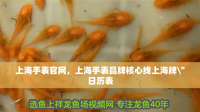 上海手表官網(wǎng)，上海手表品牌核心線上海牌 上海手表官網(wǎng)，上海手表品牌核心線上海牌\
