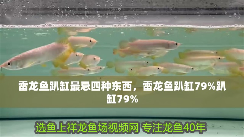 雷龍魚趴缸最忌四種東西，雷龍魚趴缸79%趴缸79%