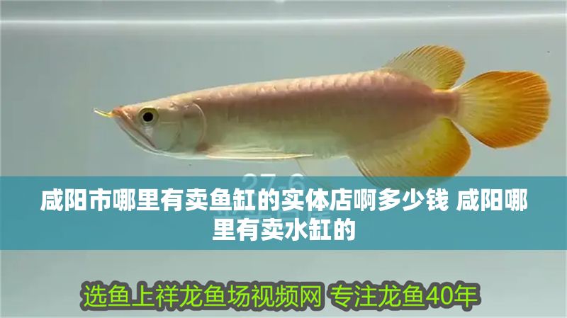 咸陽市哪里有賣魚缸的實(shí)體店啊多少錢 咸陽哪里有賣水缸的 咸陽市哪里有賣魚缸的實(shí)體店啊多少錢 咸陽哪里有賣水缸的 錦鯉魚百科 第1張