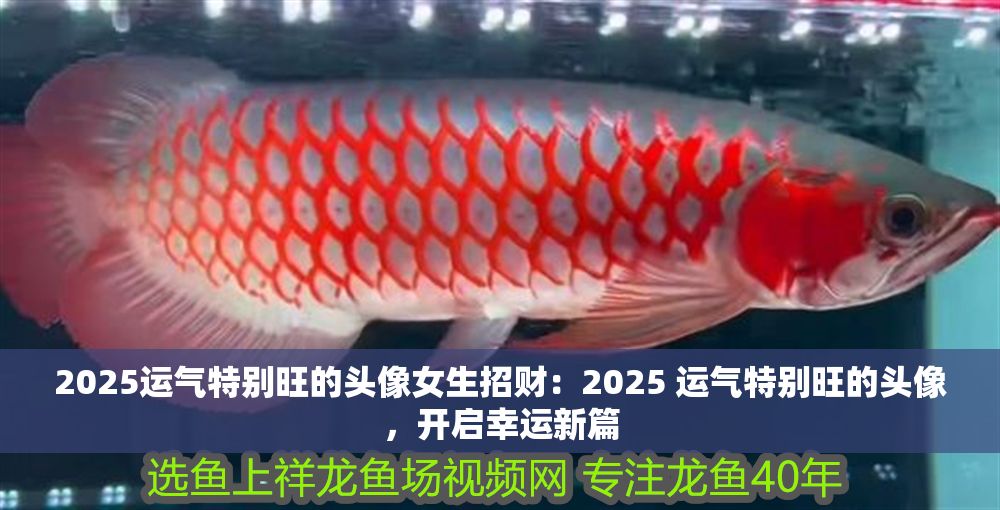 2025運氣特別旺的頭像女生招財：2025 運氣特別旺的頭像，開啟幸運新篇