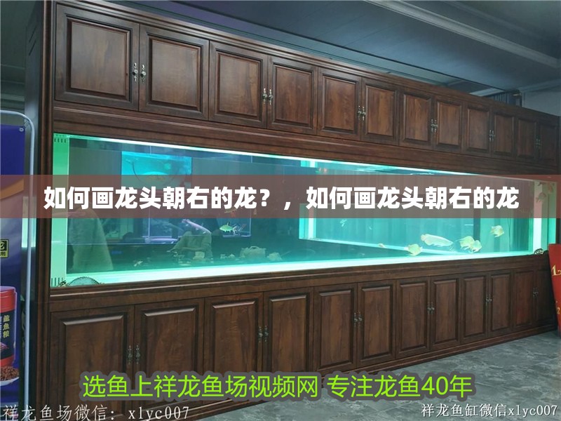 如何畫龍頭朝右的龍？，如何畫龍頭朝右的龍 如何畫龍頭朝右的龍？，如何畫龍頭朝右的龍 龍魚論壇