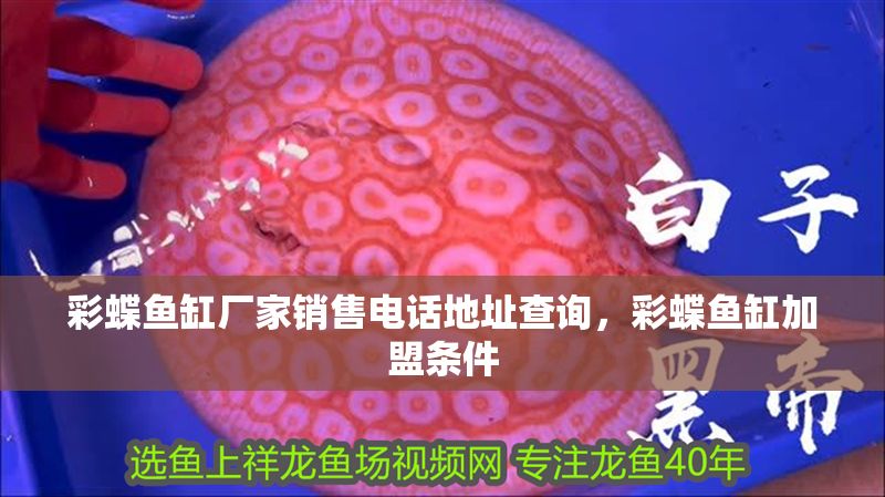 彩蝶魚(yú)缸廠家銷售電話地址查詢，彩蝶魚(yú)缸加盟條件
