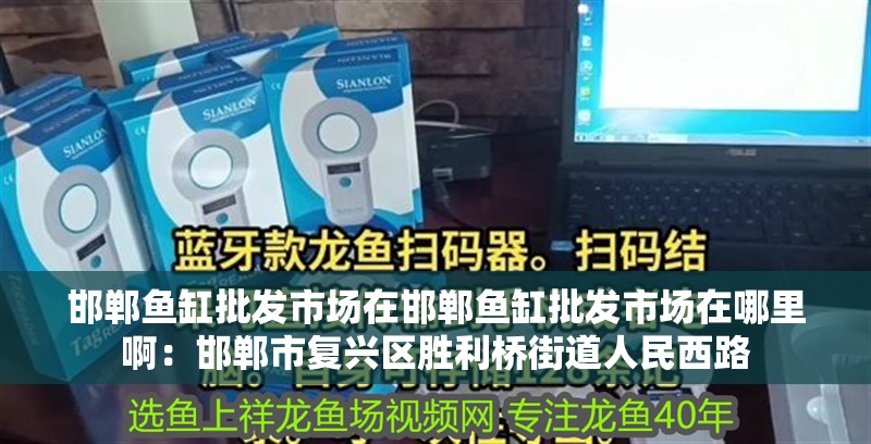 邯鄲魚缸批發市場在邯鄲魚缸批發市場在哪里啊：邯鄲市復興區勝利橋街道人民西路