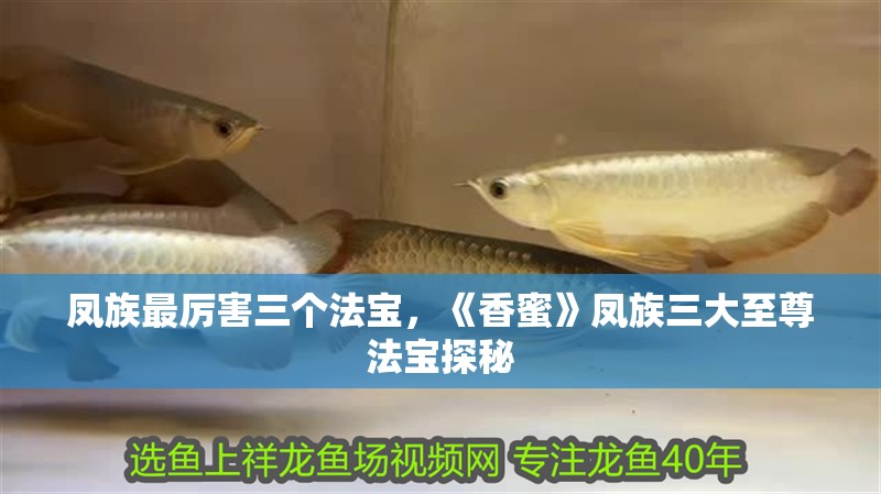 鳳族最厲害三個法寶，《香蜜》鳳族三大至尊法寶探秘