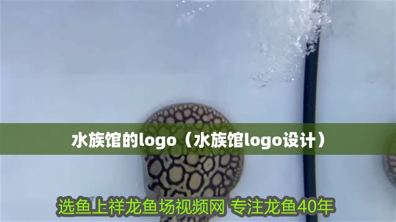 水族館的logo（水族館logo設(shè)計）