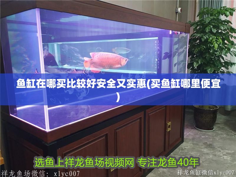 魚(yú)缸在哪買(mǎi)比較好安全又實(shí)惠(買(mǎi)魚(yú)缸哪里便宜)