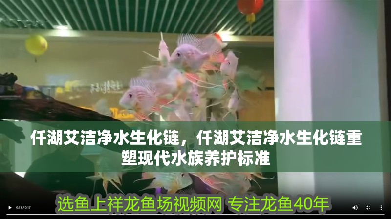 仟湖艾潔凈水生化鏈，仟湖艾潔凈水生化鏈重塑現代水族養護標準 仟湖艾潔凈水生化鏈，仟湖艾潔凈水生化鏈重塑現代水族養護標準 龍魚論壇