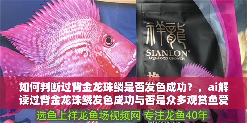 如何判斷過背金龍珠鱗是否發色成功？，ai解讀過背金龍珠鱗發色成功與否是眾多觀賞魚愛好者關注的重點