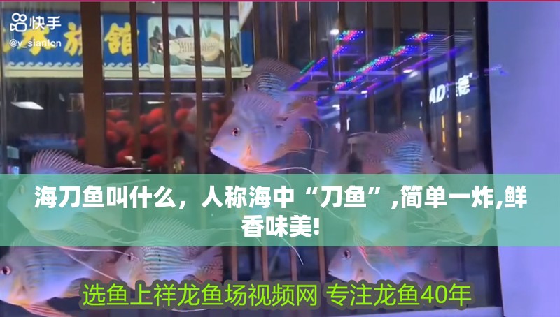 海刀魚叫什么，人稱海中“刀魚”,簡單一炸,鮮香味美!