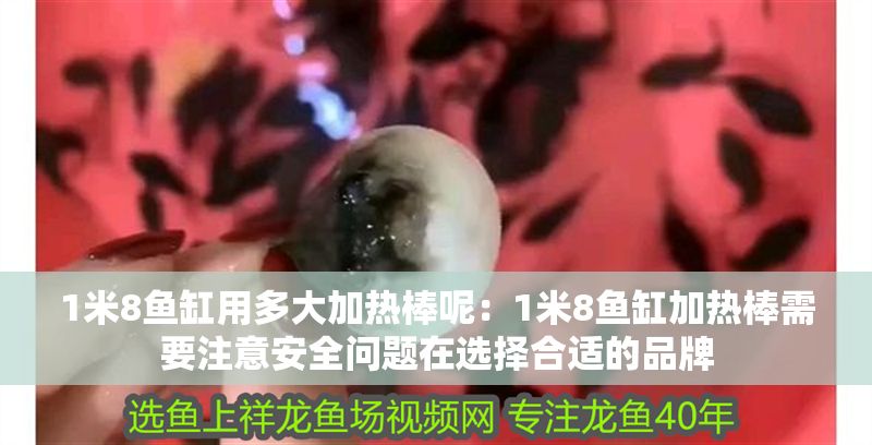 1米8魚缸用多大加熱棒呢：1米8魚缸加熱棒需要注意安全問題在選擇合適的品牌
