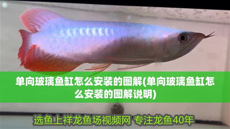 單向玻璃魚缸怎么安裝的圖解(單向玻璃魚缸怎么安裝的圖解說明) 單向玻璃魚缸怎么安裝的圖解(單向玻璃魚缸怎么安裝的圖解說明) 元寶鳳凰魚百科 第1張