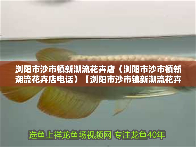 瀏陽市沙市鎮(zhèn)新潮流花卉店（瀏陽市沙市鎮(zhèn)新潮流花卉店電話）【瀏陽市沙市鎮(zhèn)新潮流花卉店】 瀏陽市沙市鎮(zhèn)新潮流花卉店（瀏陽市沙市鎮(zhèn)新潮流花卉店電話）【瀏陽市沙市鎮(zhèn)新潮流花卉店】 全國水族館企業(yè)名錄