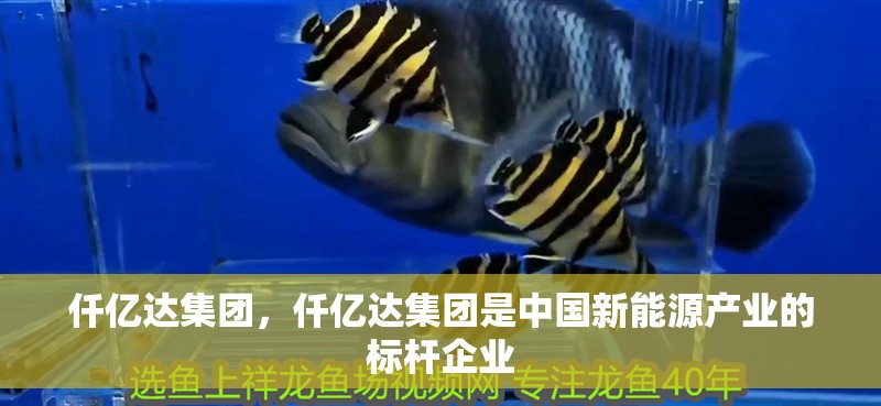 仟億達集團，仟億達集團是中國新能源產業的標桿企業