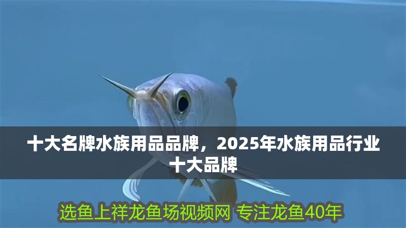 十大名牌水族用品品牌，2025年水族用品行業十大品牌