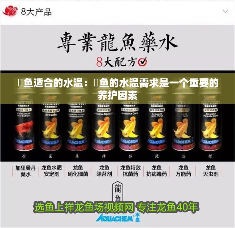 魟魚適合的水溫：魟魚的水溫需求是一個(gè)重要的養(yǎng)護(hù)因素 魟魚適合的水溫：魟魚的水溫需求是一個(gè)重要的養(yǎng)護(hù)因素 魟魚百科 第2張