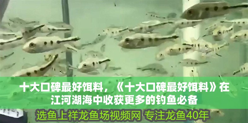 十大口碑最好餌料，《十大口碑最好餌料》在江河湖海中收獲更多的釣魚必備