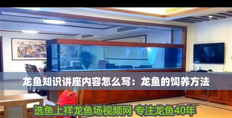 龍魚知識講座內容怎么寫：龍魚的飼養(yǎng)方法