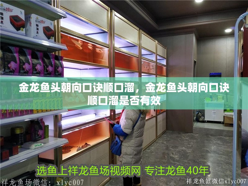金龍魚頭朝向口訣順口溜，金龍魚頭朝向口訣順口溜是否有效