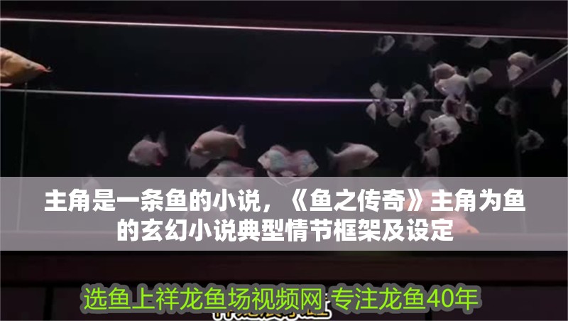 主角是一條魚的小說，《魚之傳奇》主角為魚的玄幻小說典型情節框架及設定 主角是一條魚的小說，《魚之傳奇》主角為魚的玄幻小說典型情節框架及設定 龍魚論壇