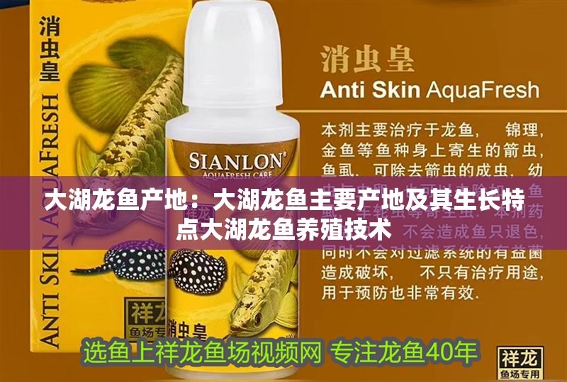 大湖龍魚產地：大湖龍魚主要產地及其生長特點大湖龍魚養殖技術