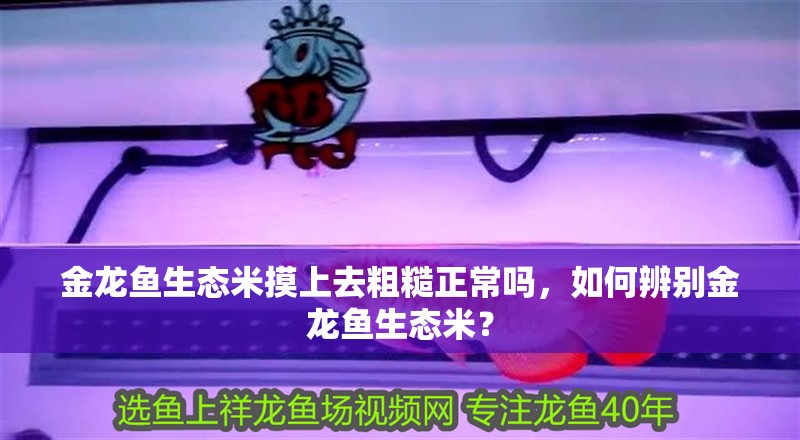金龍魚生態米摸上去粗糙正常嗎，如何辨別金龍魚生態米？ 金龍魚生態米摸上去粗糙正常嗎，如何辨別金龍魚生態米？ 水族問答