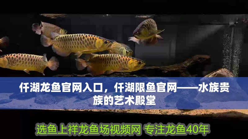 仟湖龍魚官網入口，仟湖限魚官網——水族貴族的藝術殿堂