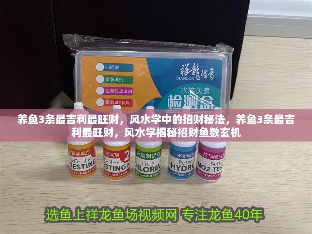 養(yǎng)魚3條最吉利最旺財，風(fēng)水學(xué)中的招財秘法，養(yǎng)魚3條最吉利最旺財，風(fēng)水學(xué)揭秘招財魚數(shù)玄機