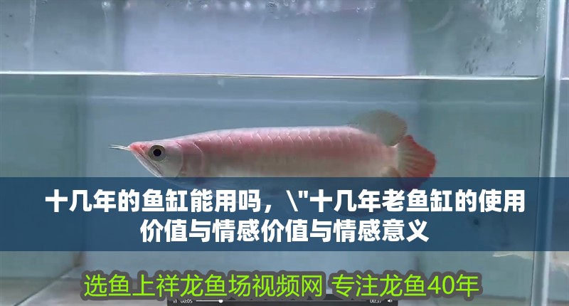 十幾年的魚缸能用嗎，\