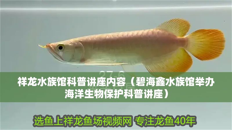 祥龍水族館科普講座內(nèi)容（碧海鑫水族館舉辦海洋生物保護(hù)科普講座）