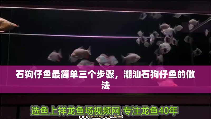 石狗仔魚最簡單三個步驟，潮汕石狗仔魚的做法 石狗仔魚最簡單三個步驟，潮汕石狗仔魚的做法 龍魚論壇