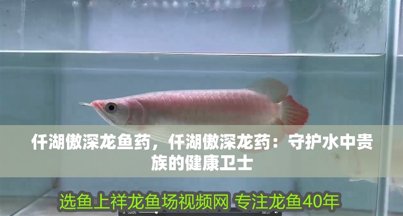龍魚干蝦有營養嗎 仟湖傲深龍魚藥,仟湖傲深龍藥:守護水中貴族的健康衛士 龍魚論壇 仟湖傲深龍魚藥,仟湖傲深龍藥:守護水中貴族的健康衛士 仟湖傲深龍魚藥,仟湖傲深龍藥:守護水中貴族的健康衛士 龍魚論壇