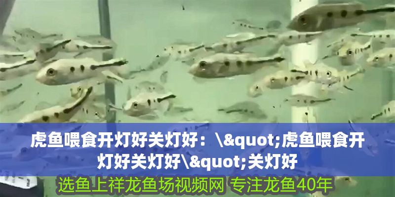虎魚(yú)喂食開(kāi)燈好關(guān)燈好：\"虎魚(yú)喂食開(kāi)燈好關(guān)燈好\"關(guān)燈好 虎魚(yú)喂食開(kāi)燈好關(guān)燈好：\"虎魚(yú)喂食開(kāi)燈好關(guān)燈好\"關(guān)燈好 虎魚(yú)百科 第2張