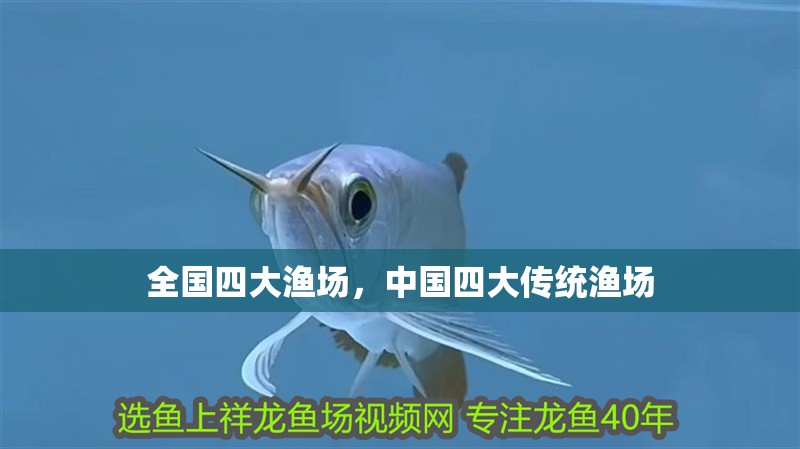 全國(guó)四大漁場(chǎng)，中國(guó)四大傳統(tǒng)漁場(chǎng)