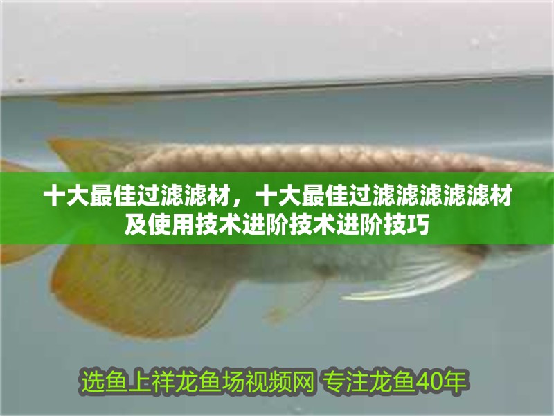 十大最佳過濾濾材，十大最佳過濾濾濾濾濾材及使用技術(shù)進(jìn)階技術(shù)進(jìn)階技巧