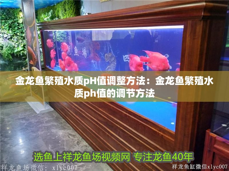 金龍魚繁殖水質pH值調整方法：金龍魚繁殖水質ph值的調節方法